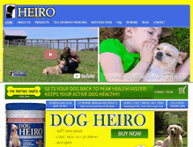 Tablet Screenshot of dogheiro.com